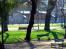 puentedesdeelparque.jpg