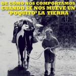 De cómo nos comportamos cuando se nos mueve un poquito la tierra